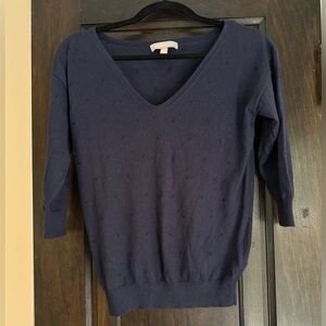 Banana Republic navy sweater